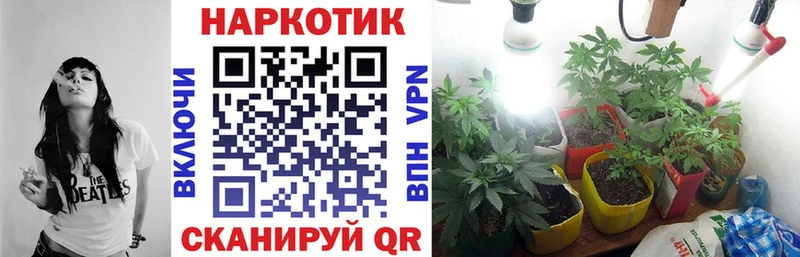 Где купить Иланский КОКАИН APVP Бошки Шишки ГАШИШ